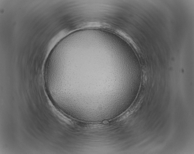 X0000068311475200605051518