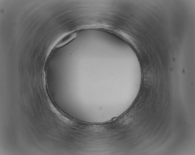 X0000068311476200605051518