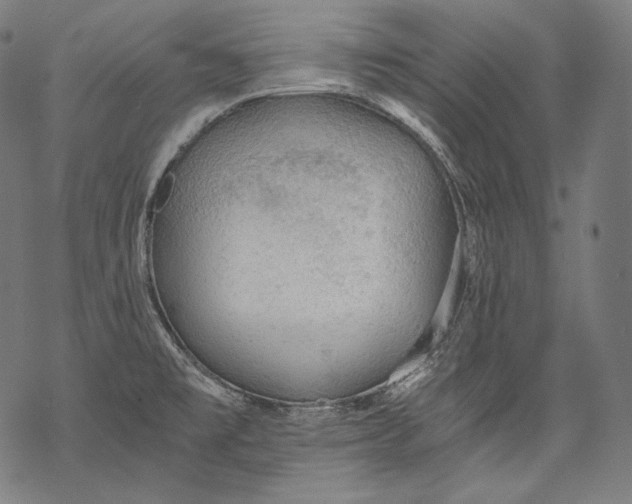 X0000068311477200605051518