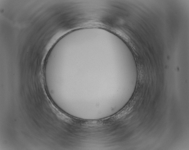 X0000068311478200605051518