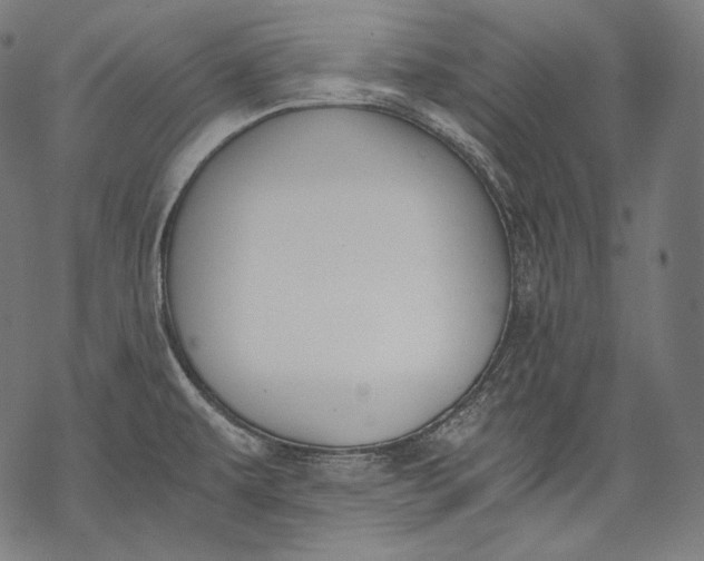 X0000068311479200605051518