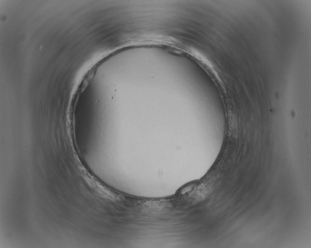 X0000068311480200605051518