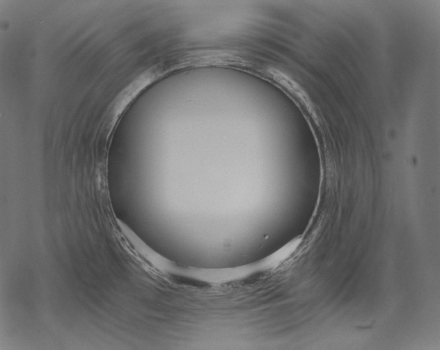 X0000068311481200605051518