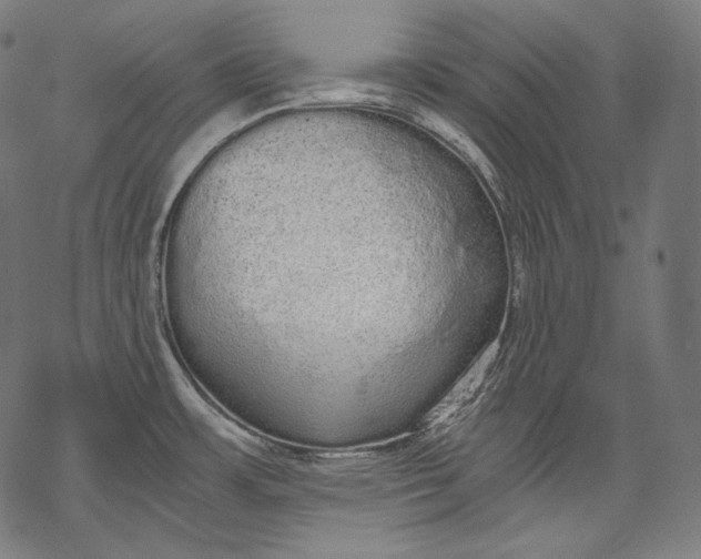 X0000068311483200605051518