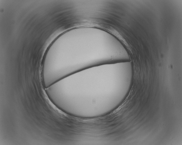 X0000068311484200605051518