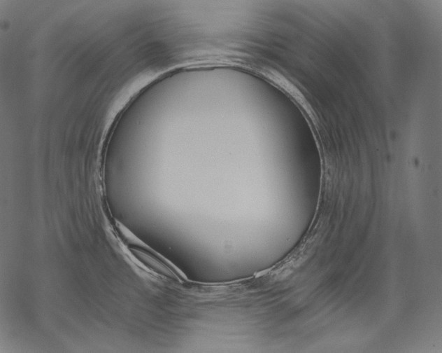 X0000068311485200605051518