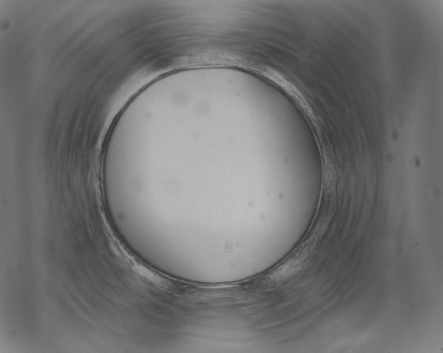 X0000068311486200605051518