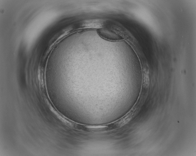 X0000068311487200605051518