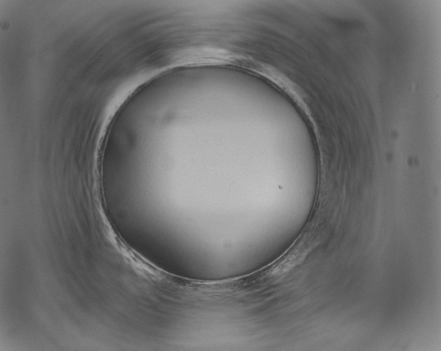 X0000068311488200605051518