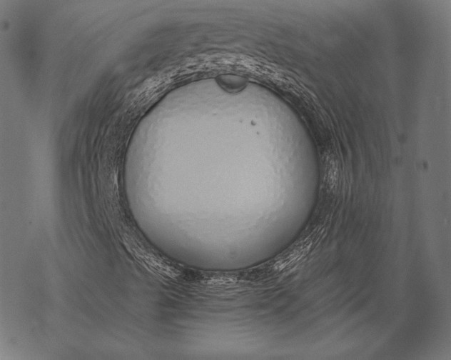 X0000068311489200605051517