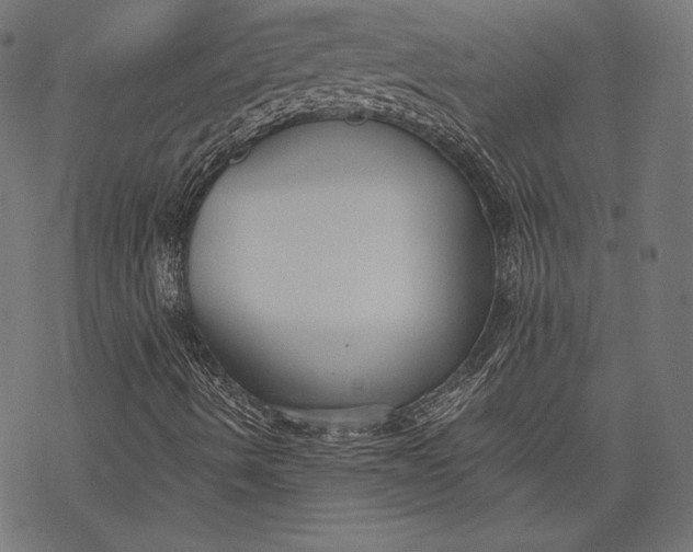 X0000068311490200605051517