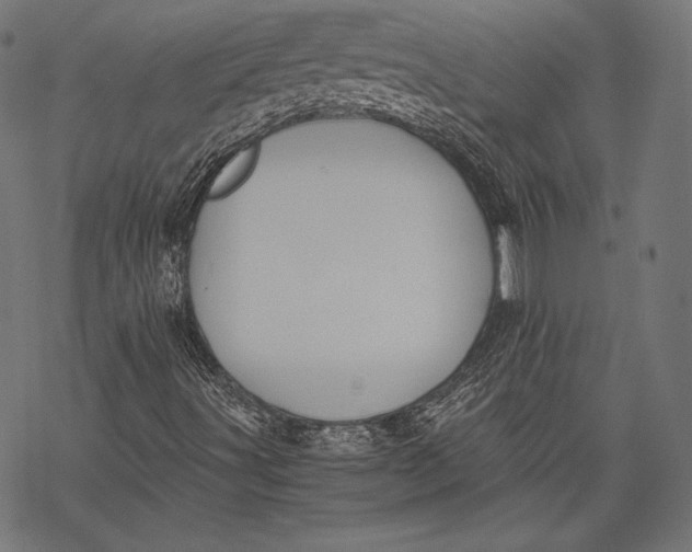 X0000068311491200605051517