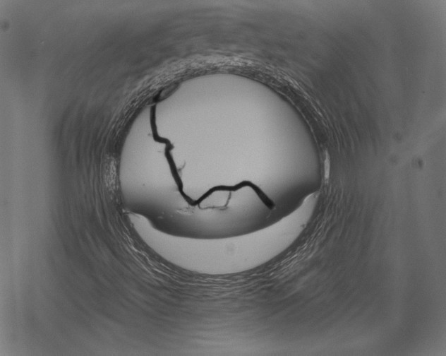 X0000068311492200605051517