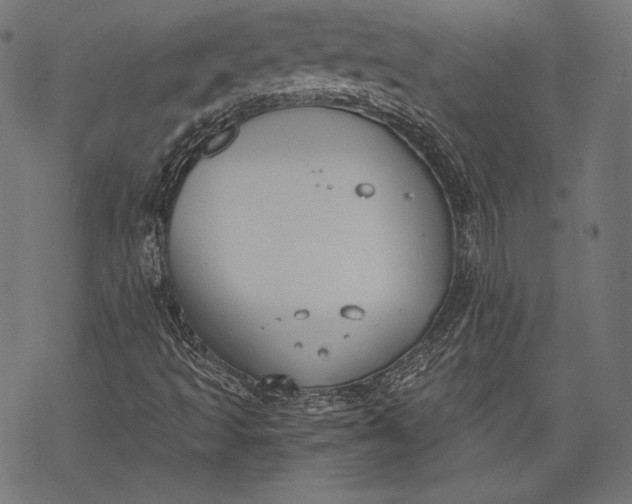 X0000068311493200605051517