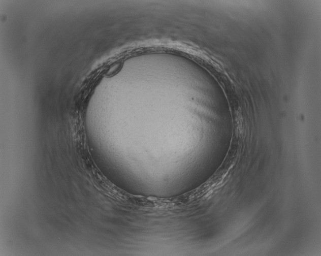 X0000068311494200605051517