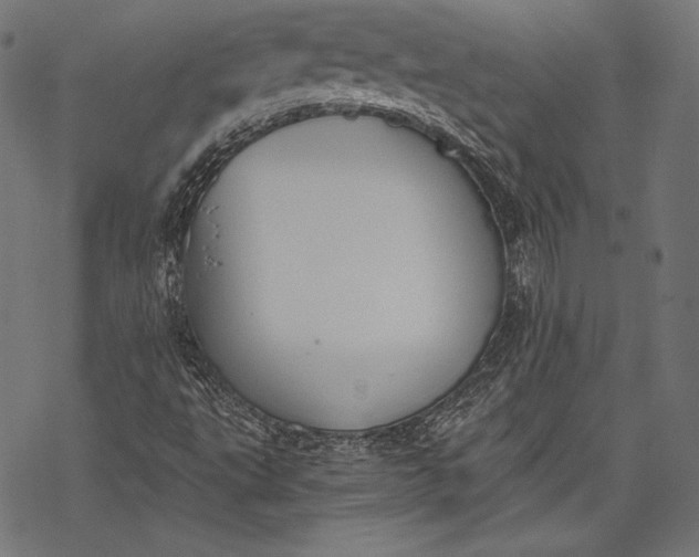 X0000068311495200605051517