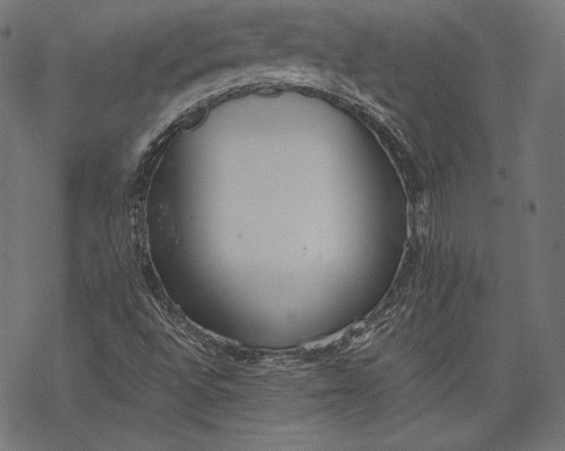 X0000068311496200605051517