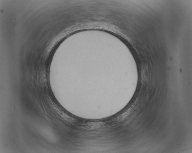 X0000068311498200605051517