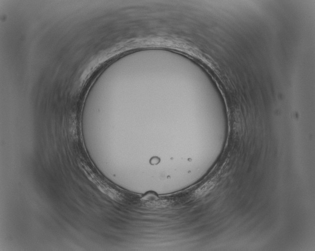 X0000068311499200605051517