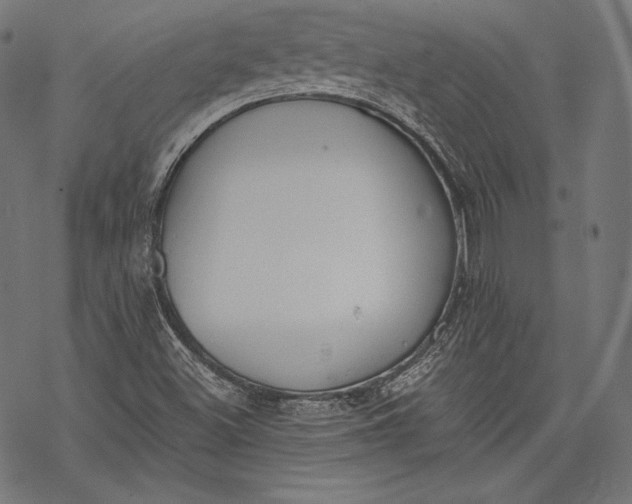 X0000068311500200605051517