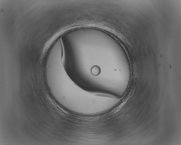 X0000068311502200605051517