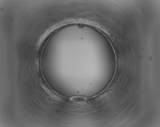 X0000068311503200605051517