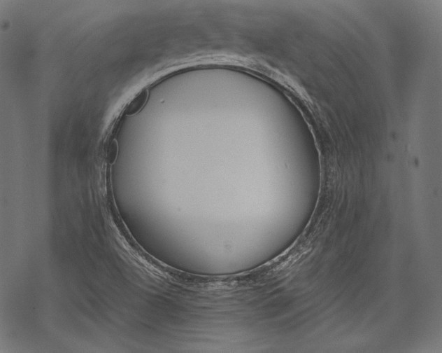 X0000068311504200605051517