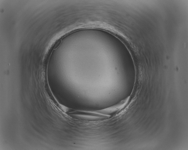 X0000068311506200605051517