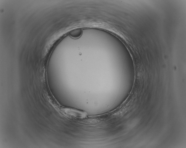 X0000068311507200605051517