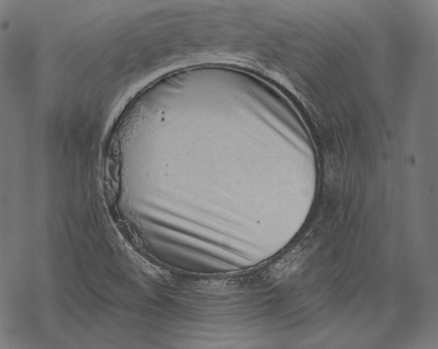 X0000068311508200605051517