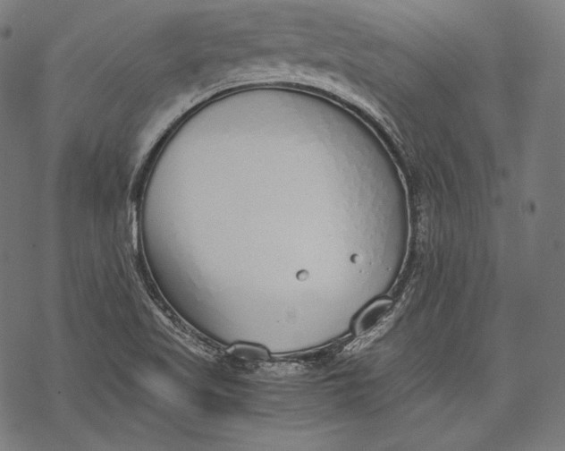 X0000068311509200605051517