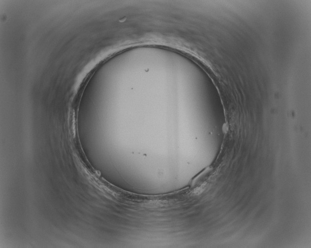 X0000068311510200605051517