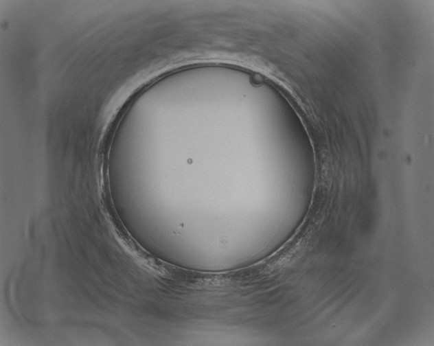 X0000068311511200605051517