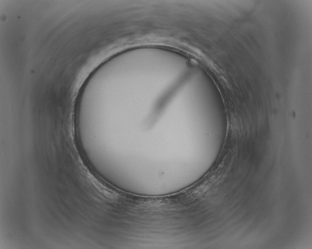 X0000068311512200605051517