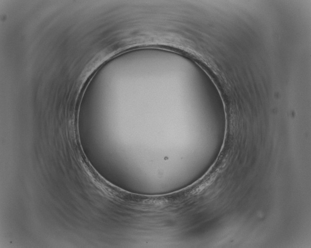 X0000068311513200605051517