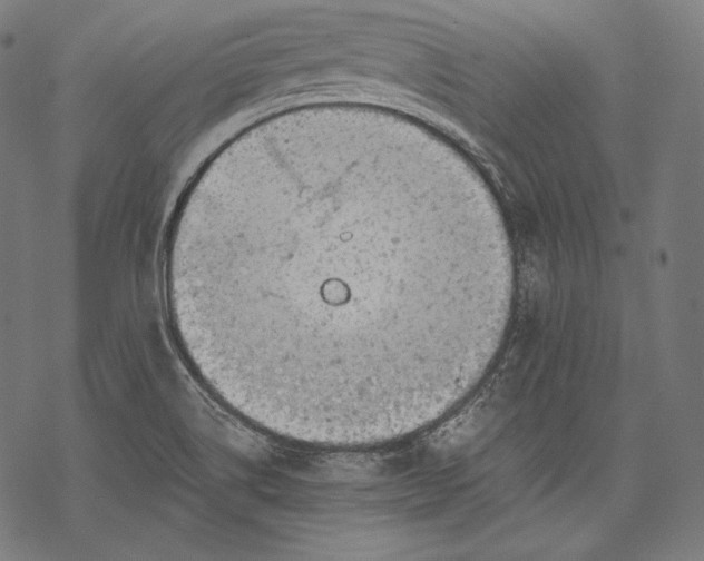 X0000068311514200605051518