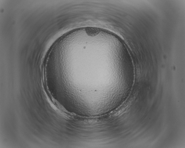 X0000068311515200605051518