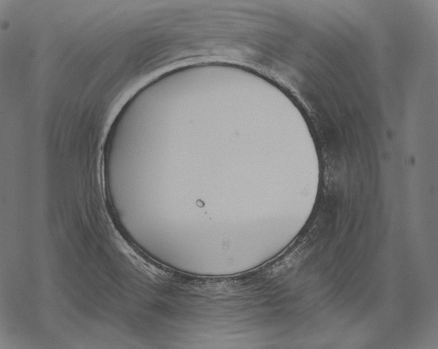 X0000068311516200605051518