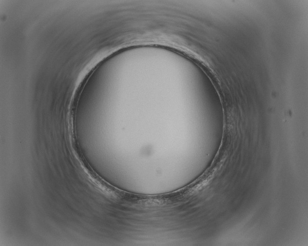 X0000068311517200605051518