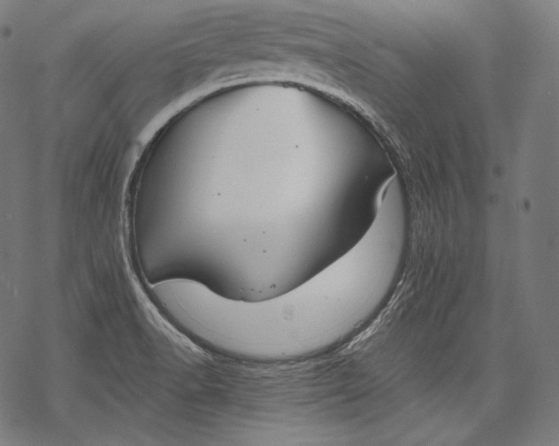 X0000068311518200605051518