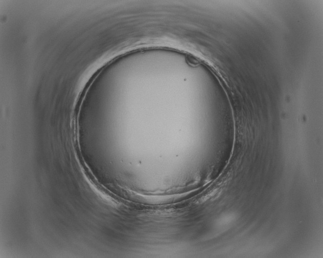 X0000068311519200605051518