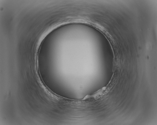 X0000068311520200605051518