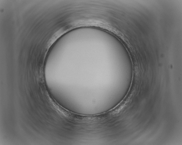 X0000068311521200605051518