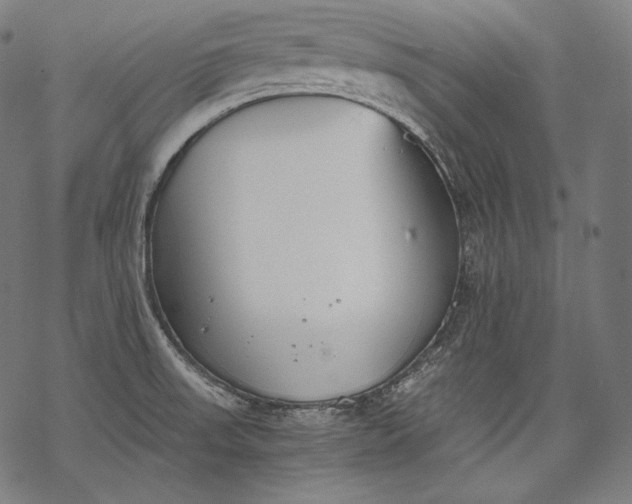 X0000068311523200605051518