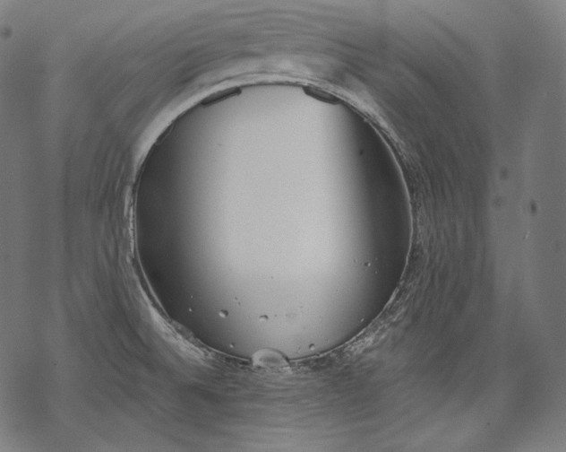 X0000068311524200605051518