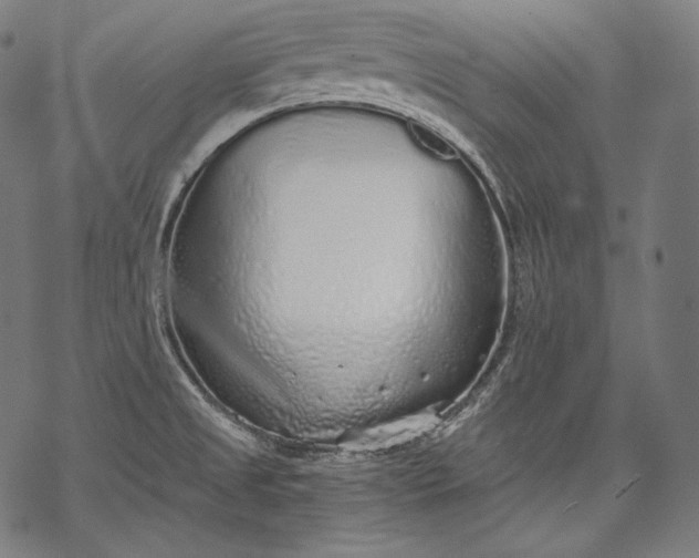 X0000068311525200605051518