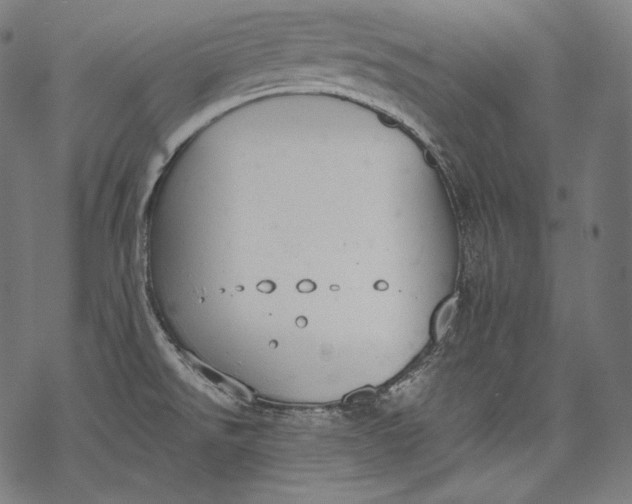 X0000068311526200605051518