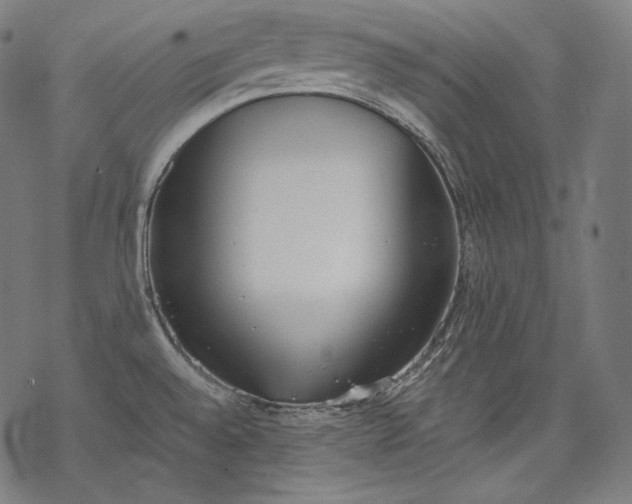 X0000068311528200605051518