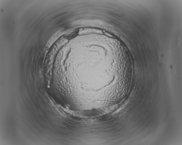 X0000068311529200605051518