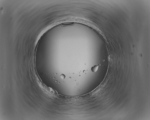 X0000068311530200605051518